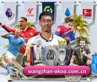 wangzhan-okoo.com.cn APP
